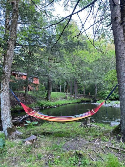 Peaceful Gateway To Island Creek Cottage イースト・ストラウズバーグ エクステリア 写真