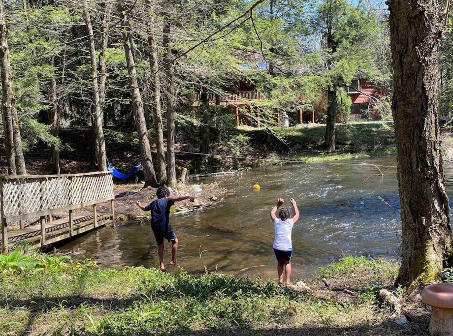 Peaceful Gateway To Island Creek Cottage イースト・ストラウズバーグ エクステリア 写真