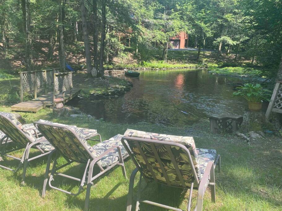 Peaceful Gateway To Island Creek Cottage イースト・ストラウズバーグ エクステリア 写真