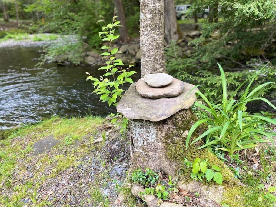 Peaceful Gateway To Island Creek Cottage イースト・ストラウズバーグ エクステリア 写真