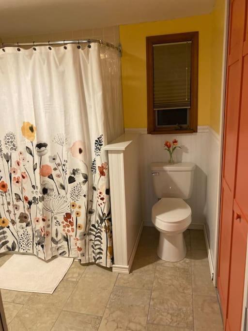 Peaceful Gateway To Island Creek Cottage イースト・ストラウズバーグ エクステリア 写真